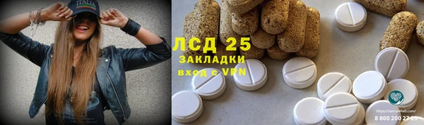 амф Аркадак