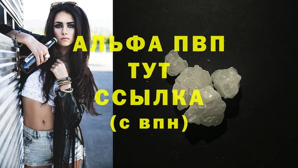 амф Аркадак